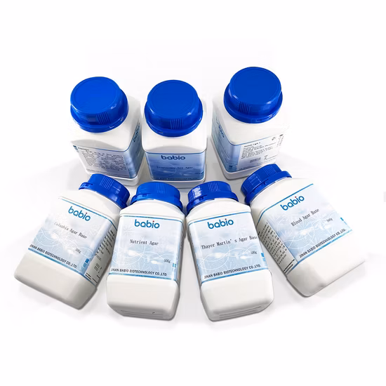 이동층 생물반응기 필터 매체 Mbbr K1 K3 온실 침대 문화